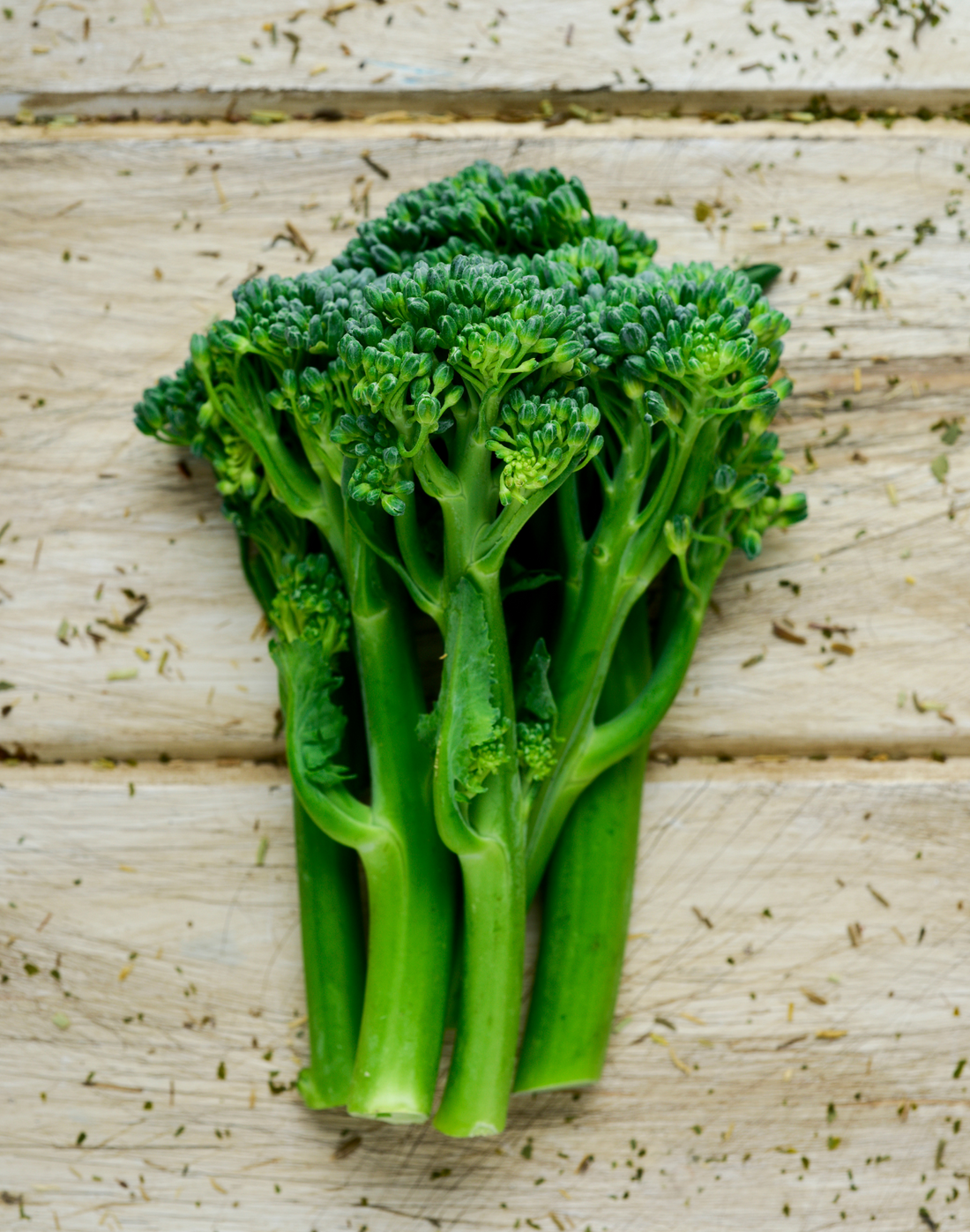 Broccolini - Green (kg) – Chef's Garden