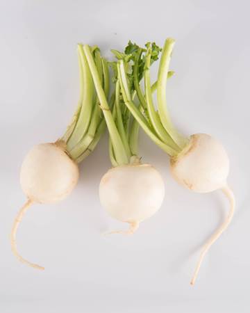 Tokyo Turnip